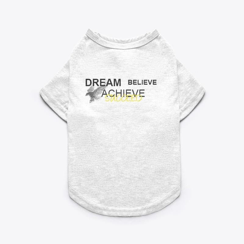 Dream Achieve Succeed Classic T shirt